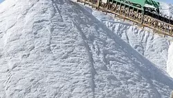 Salt